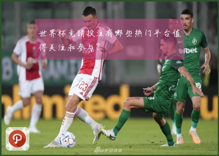 世界杯竞猜投注有哪些热门平台值得关注和参与？