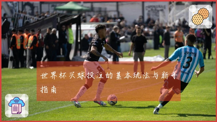 世界杯买球投注的基本玩法与新手指南