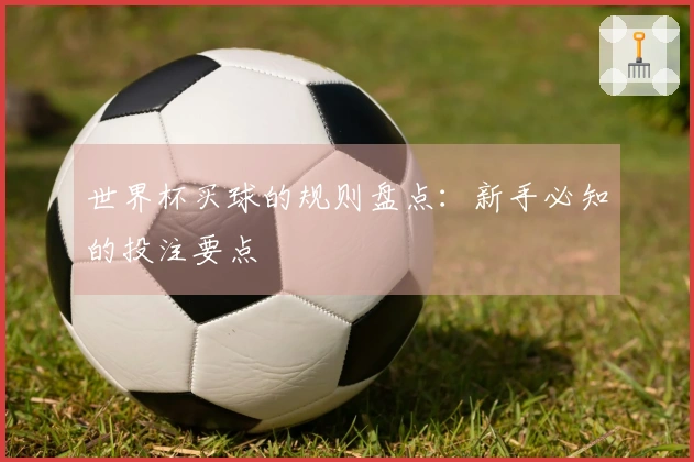 世界杯买球的规则盘点：新手必知的投注要点