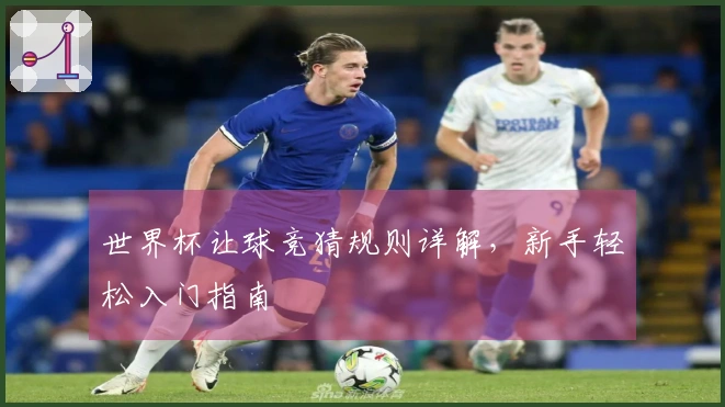 世界杯让球竞猜规则详解，新手轻松入门指南