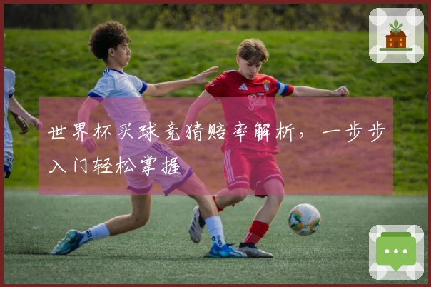 世界杯买球竞猜赔率解析，一步步入门轻松掌握
