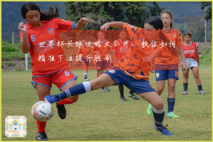 世界杯买球攻略大公开，教你如何精准下注提升胜率
