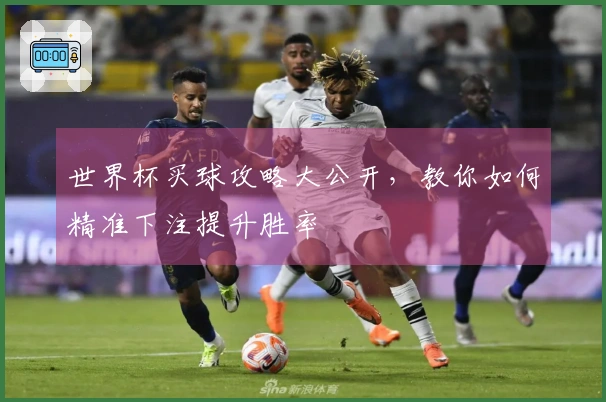 世界杯买球攻略大公开，教你如何精准下注提升胜率