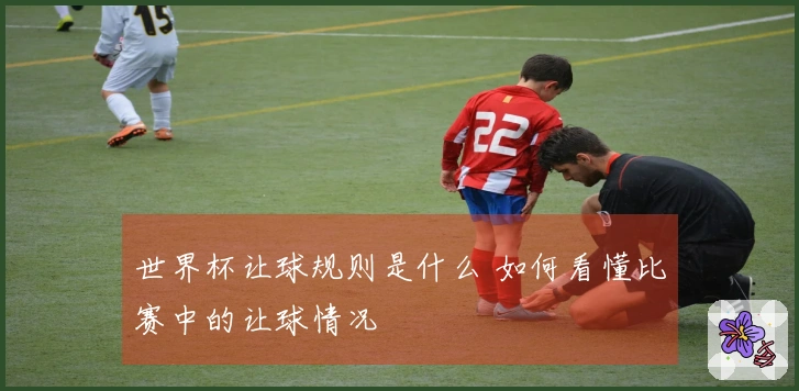 世界杯让球规则是什么 如何看懂比赛中的让球情况