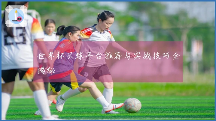 世界杯买球平台推荐与实战技巧全揭秘