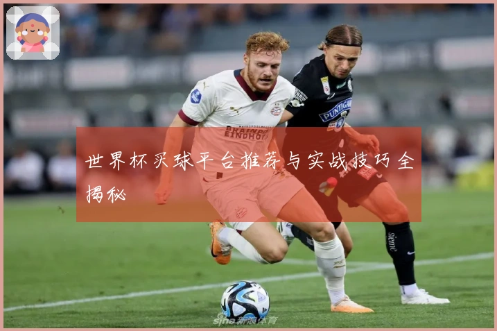 世界杯买球平台推荐与实战技巧全揭秘